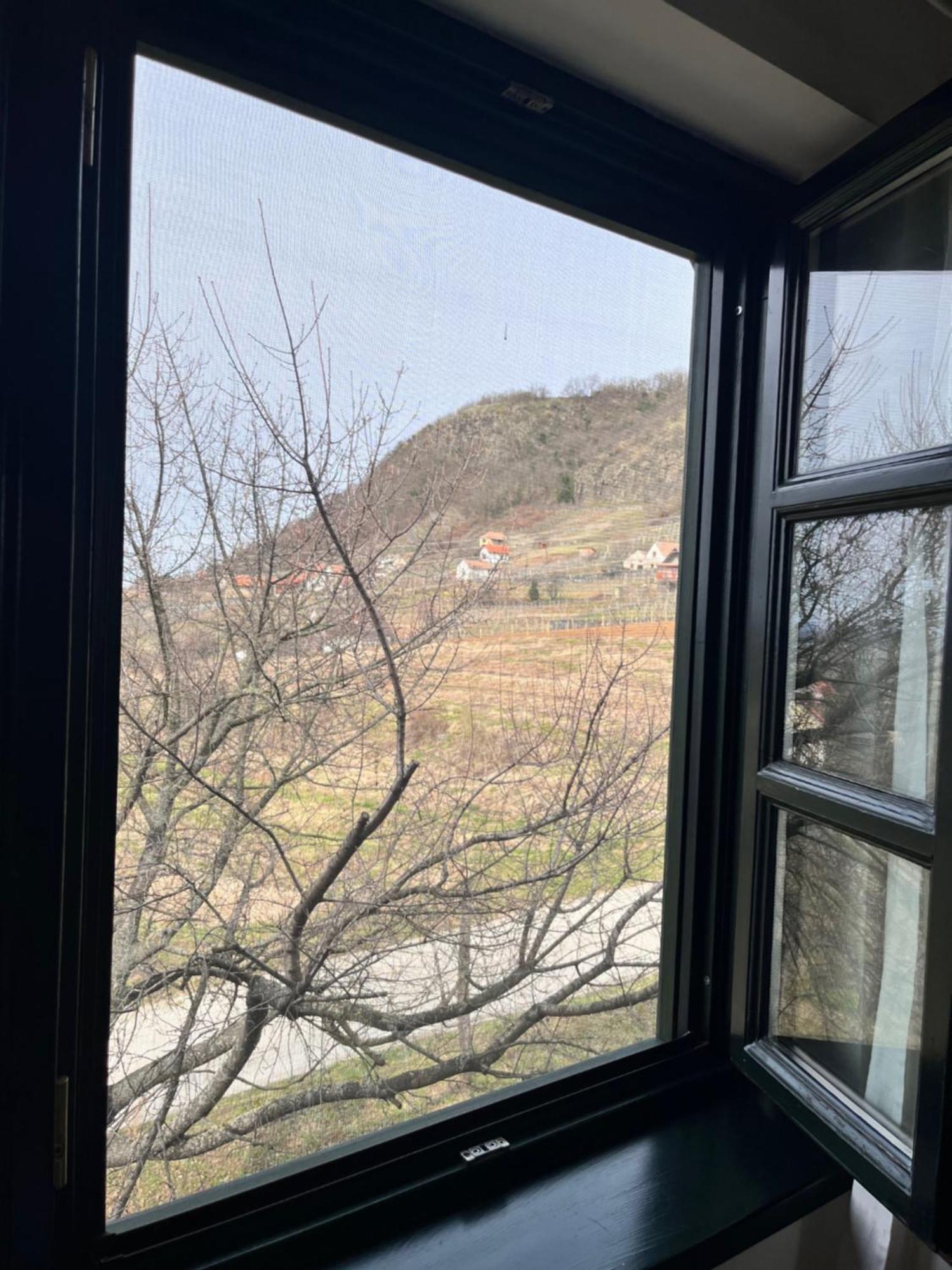 Somlo Wineshop Guesthouse Somlovasarhely Luaran gambar