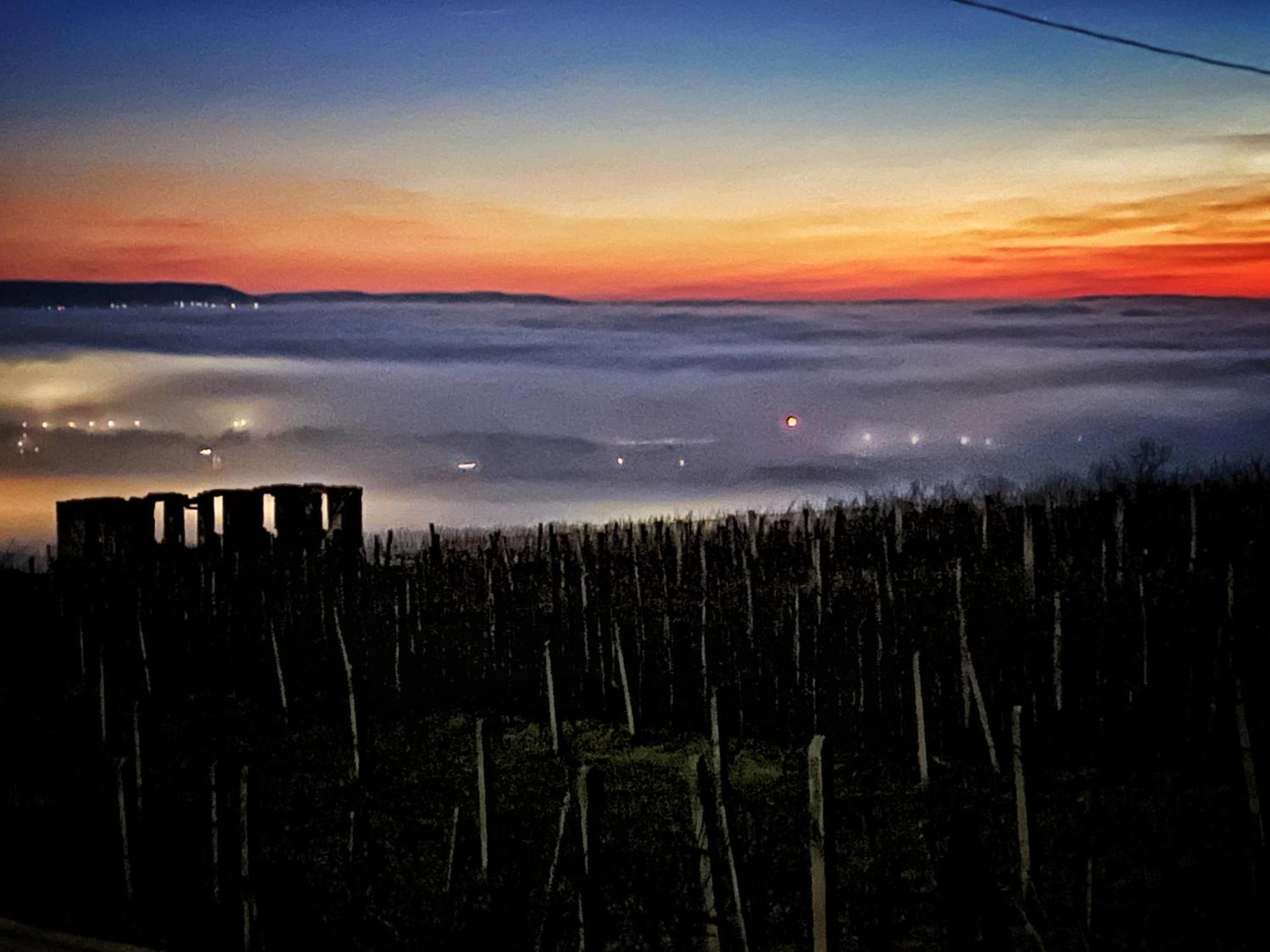 Somlo Wineshop Guesthouse Somlovasarhely Luaran gambar