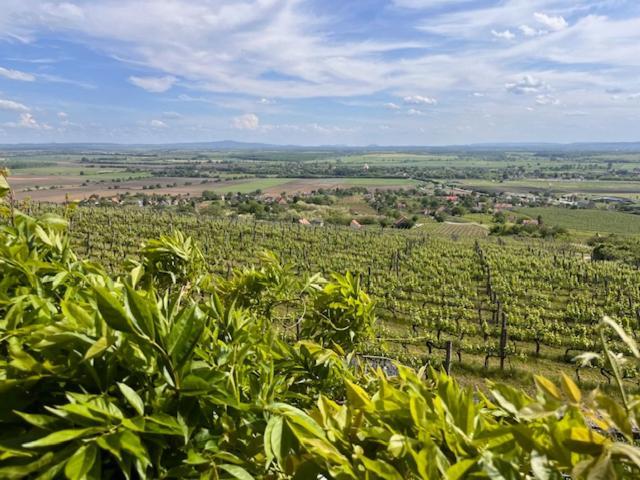 Somlo Wineshop Guesthouse Somlovasarhely Luaran gambar