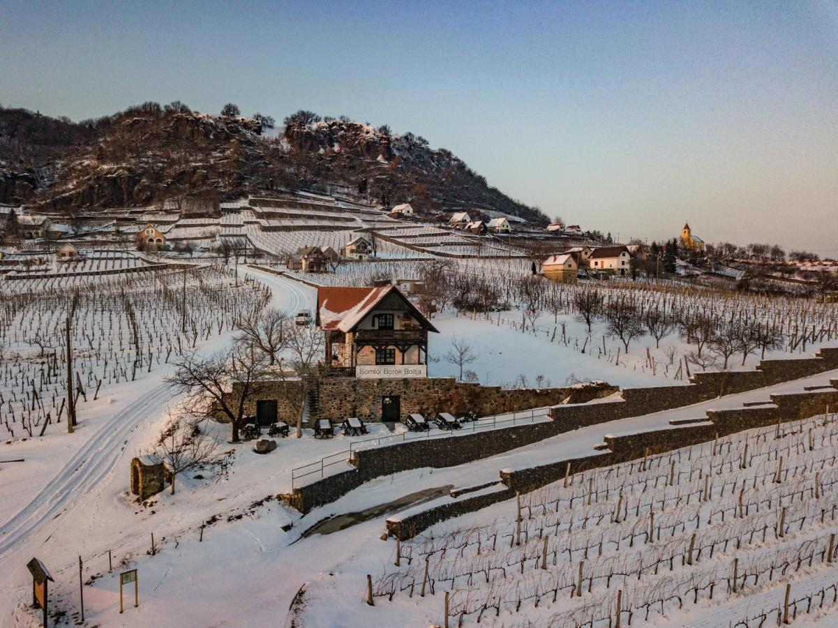 Somlo Wineshop Guesthouse Somlovasarhely Luaran gambar
